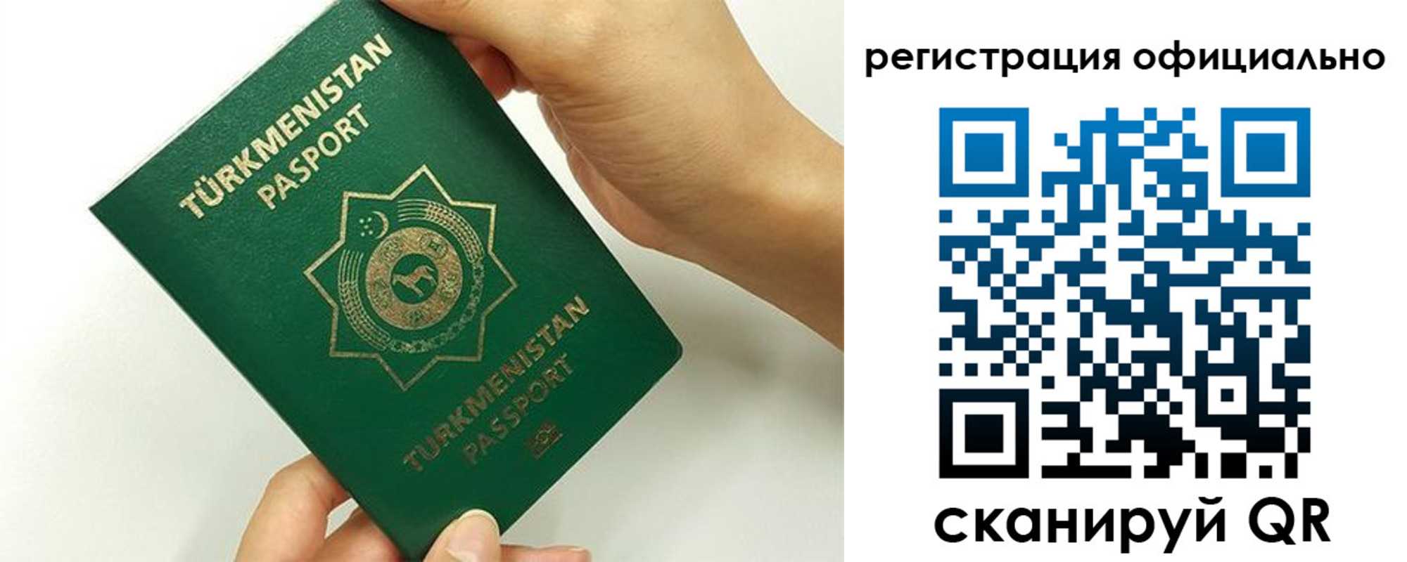 прописка поиск в Михайловке