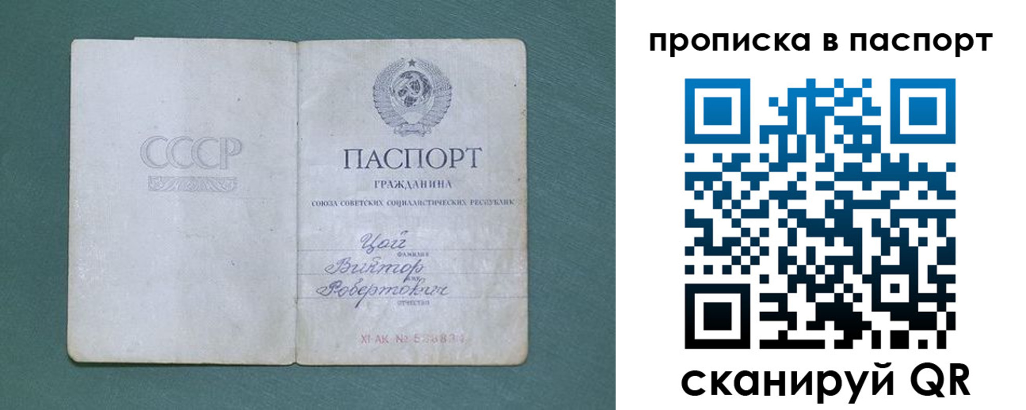 пропишу в квартире в Михайловке
